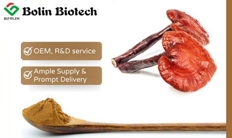 Ganoderma Lucidum Extract: Science, Benefits and Market Trends